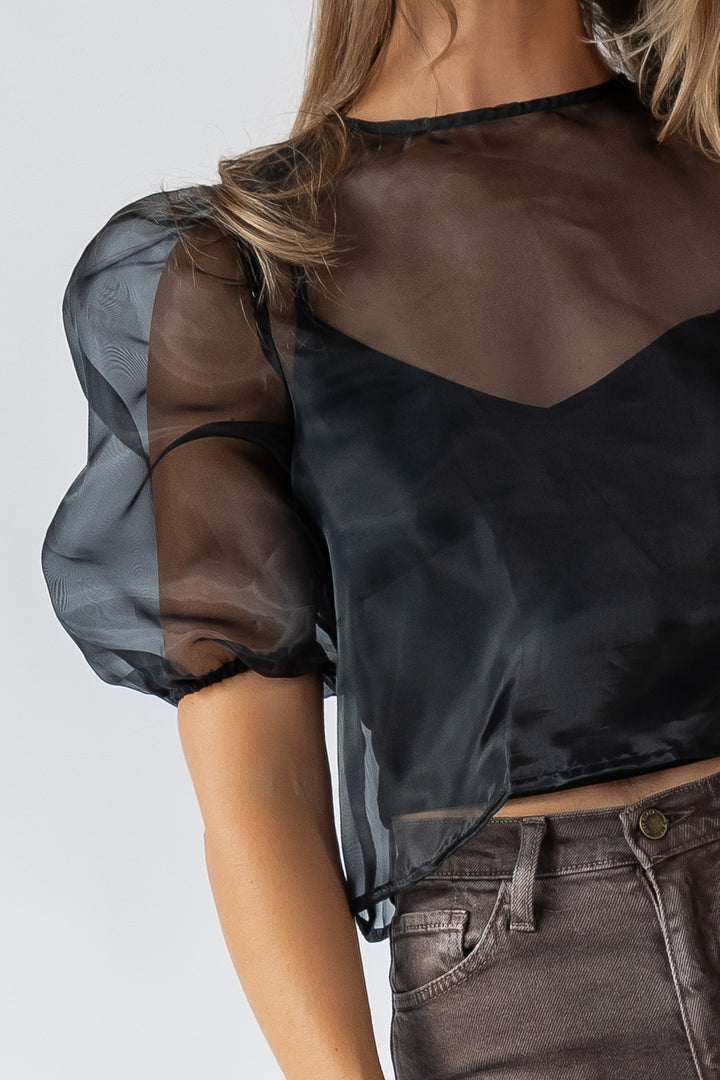 Fitz Black Sheer Blouse