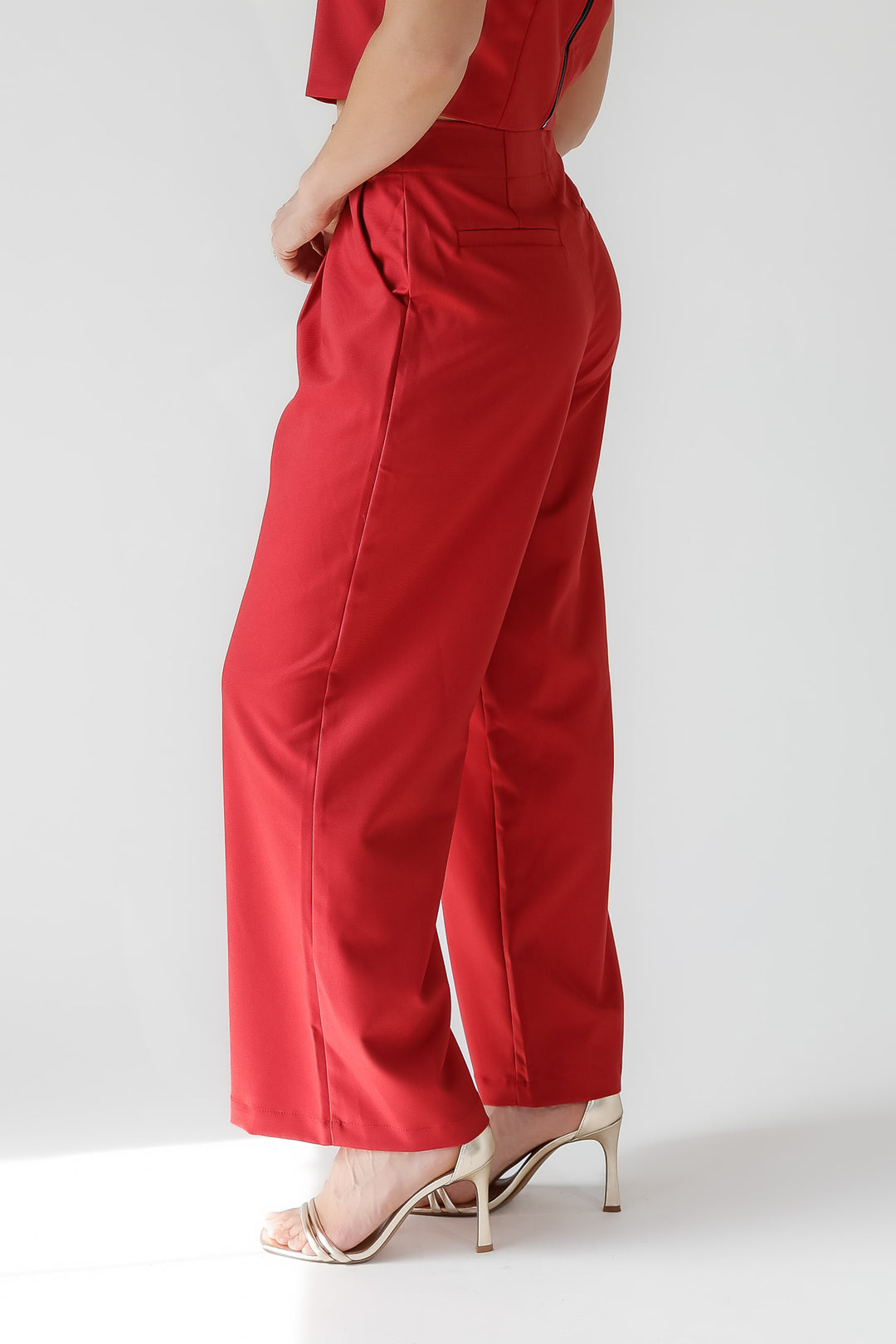 Hollis Garnet Pleated Wide Leg Trouser